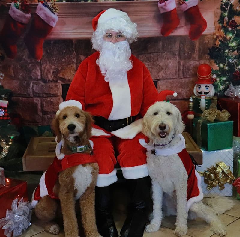 Woodland Springs Vet Hospital team at a Fort Worth community event supporting local pet owners
