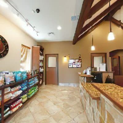 Bright, clean lobby and reception desk at Woodland Springs Vet Hospital veterinary clinic

