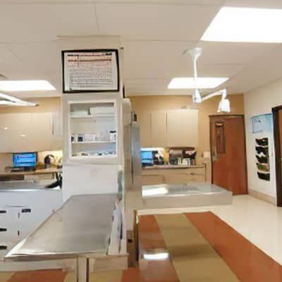 Interior view of Woodland Springs Vet Hospital waiting area and lobby in Fort Worth, TX
