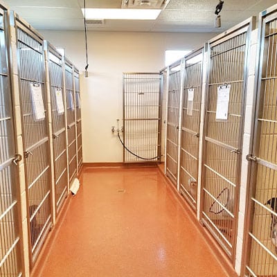 Spacious lobby interior at Woodland Springs Vet Hospital general veterinary clinic in Fort Worth

