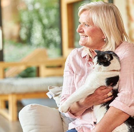 Therapeutic laser therapy session for pet pain relief and tissue healing at Fort Worth clinic
