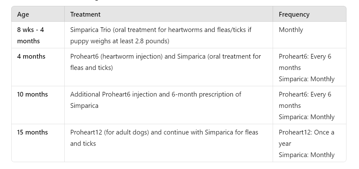 Puppy vaccination protocol chart showing the recommended immunization schedule for young dogs
