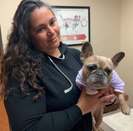 Brachycephalic laser surgery patient Valentina receiving care at Woodland Springs Vet Hospital
