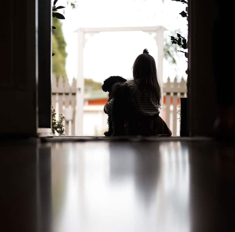 Compassionate end-of-life care for pets at Woodland Springs Vet Hospital in Fort Worth
