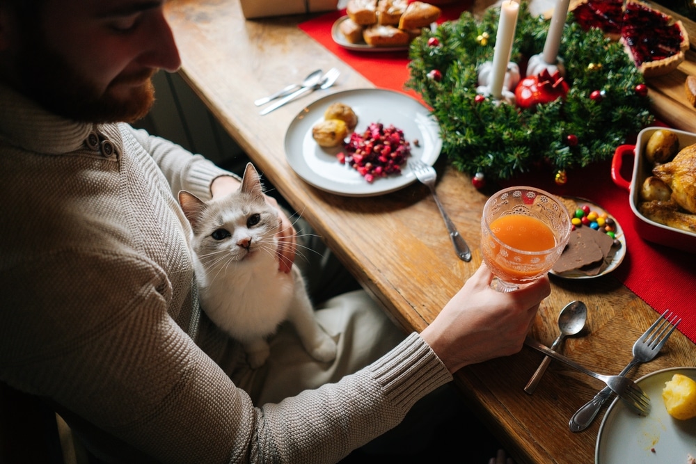 Man seated at a festive Thanksgiving table, relating to holiday pet safety tips for pet owners