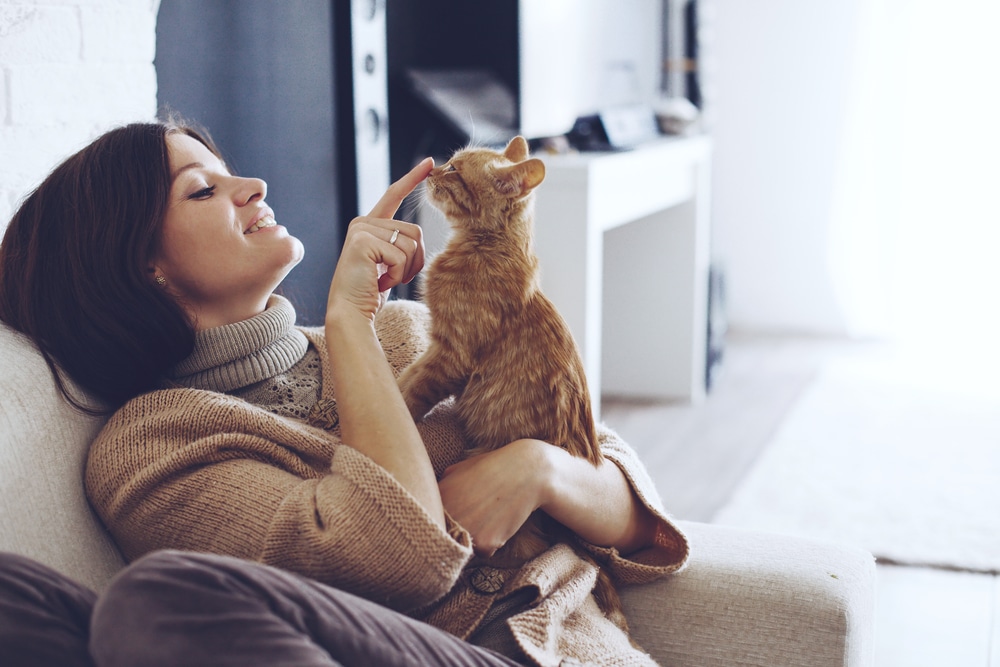 Young woman in a cozy warm sweater resting at home with her cat