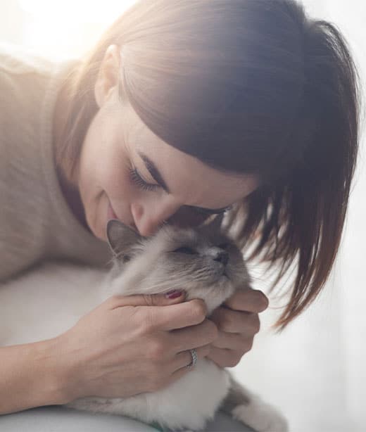 Cat or dog during routine wellness checkup at Woodland Springs Vet Hospital
