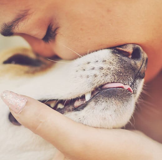 Veterinarian reviewing comprehensive pet wellness plan options with a Fort Worth pet owner
